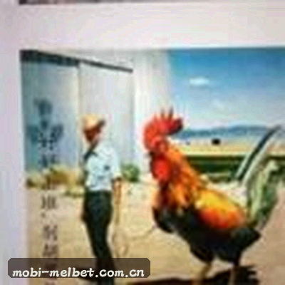 王静